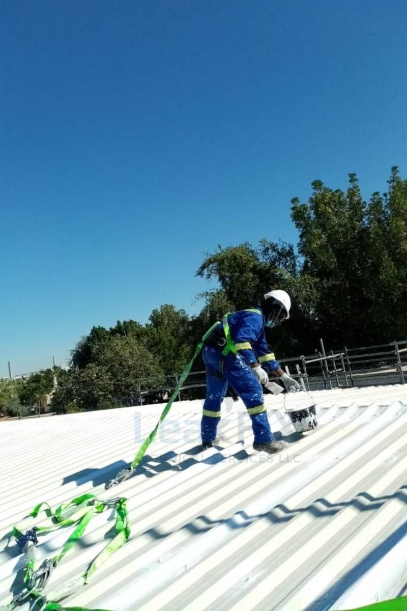 Roof Waterproofing service