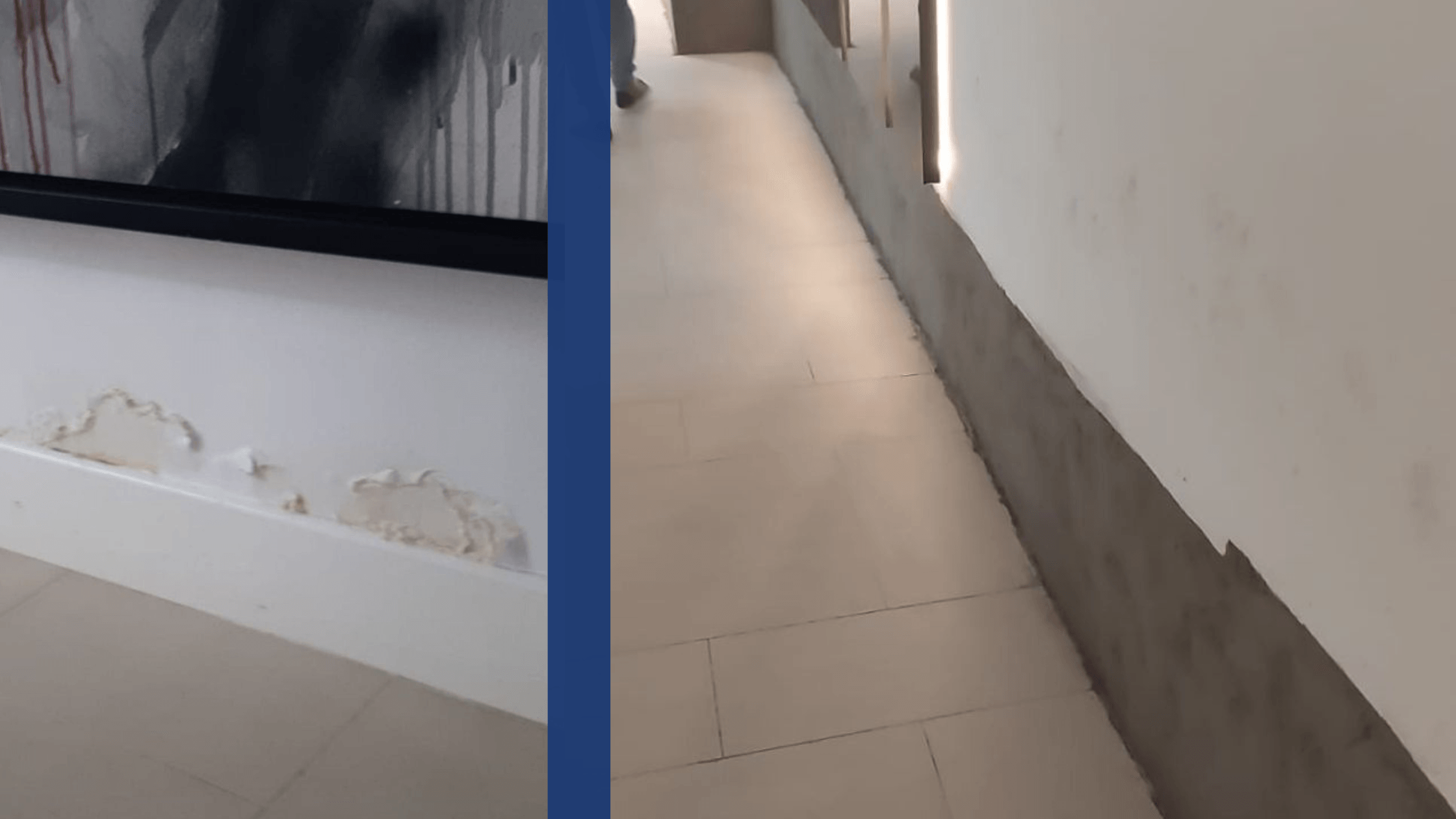 Dampness Treatment service